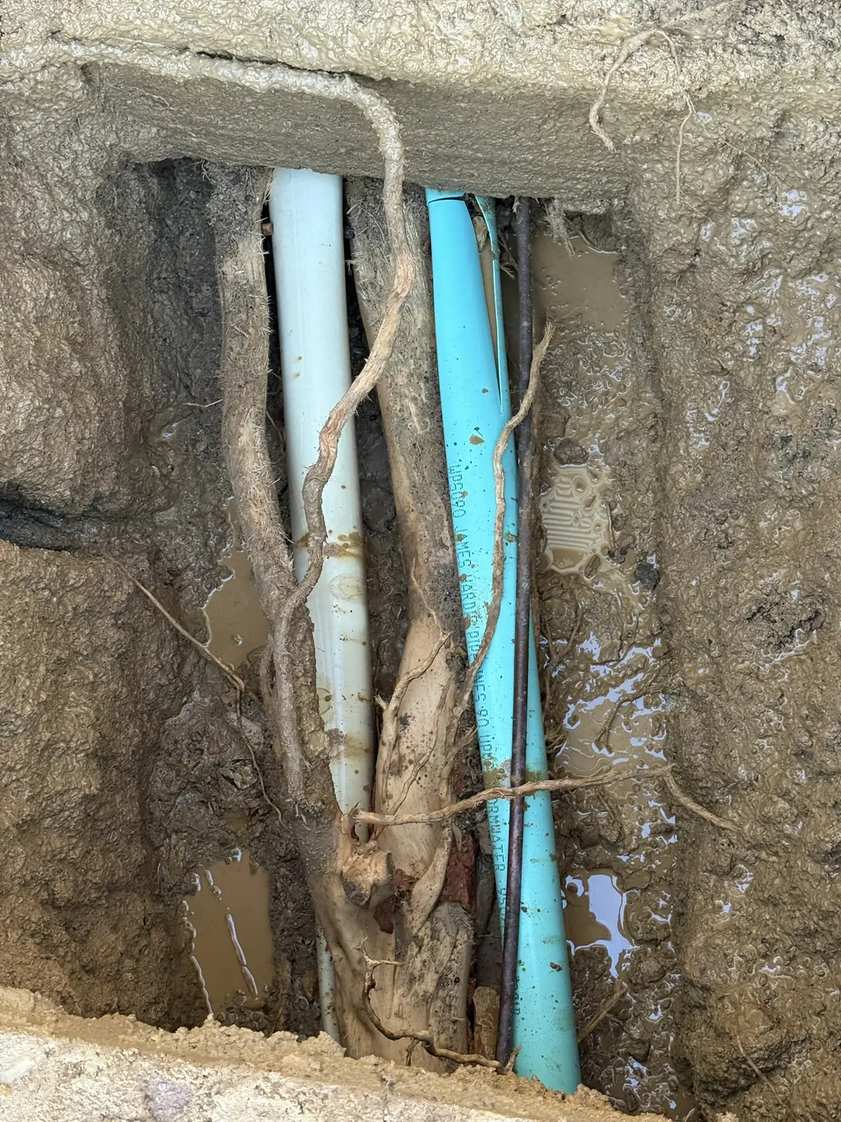 Blue underground pipes exposed in a narrow excavation